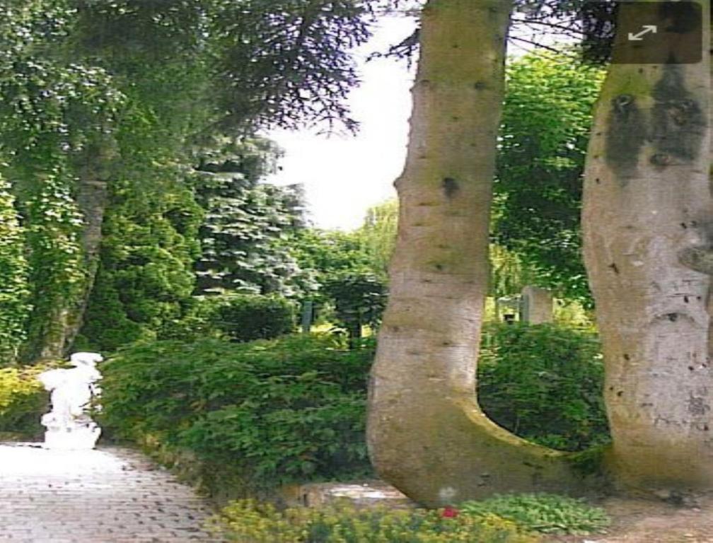 7 , Le Haut Montraye Pacé Exteriör bild