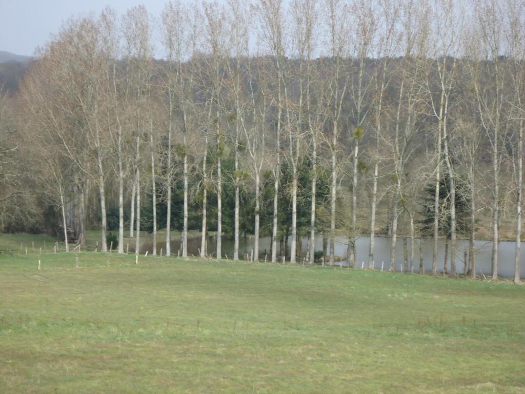 7 , Le Haut Montraye Pacé Exteriör bild